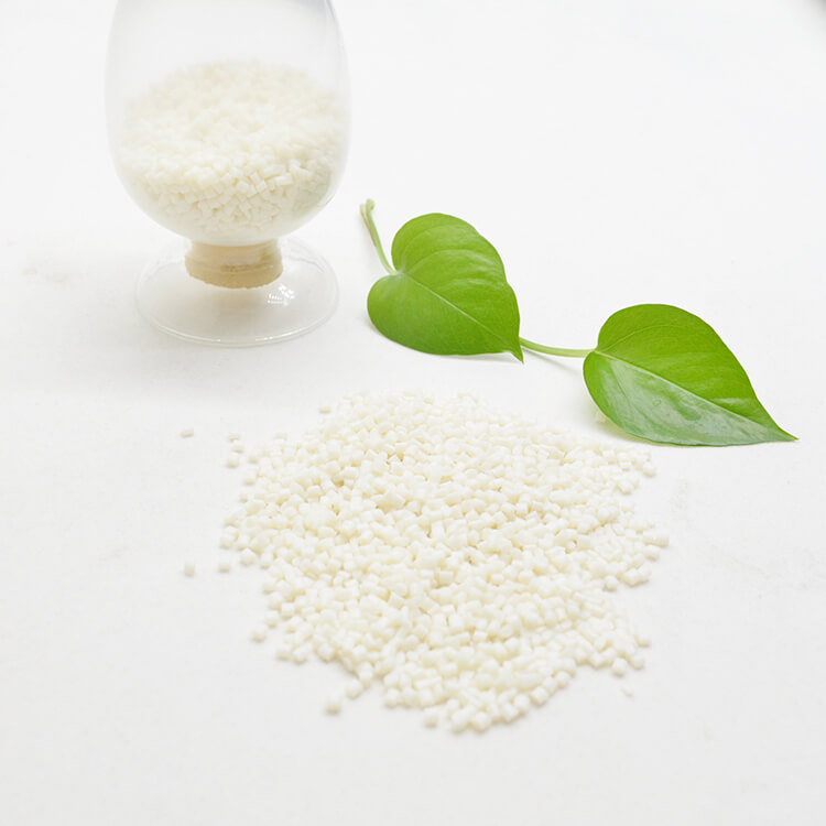PLA-Pellets-Biodegradable-Compostable-Plastic-Raw-Material.jpg